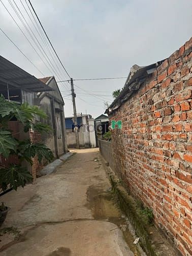 Hình ảnh E có hai lô đất cần bán nhanh ạ 
 nhỉnh tỷ 

65m và 54m xã đông