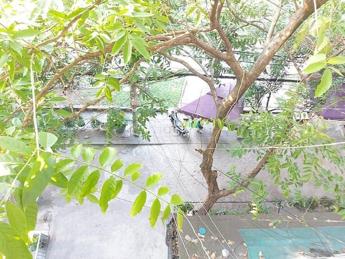 Hình ảnh 💥Bán chung cư Gò Dầu 1, Tân Phú, 48m2 chỉ 1ty850, sổ hồng riêng