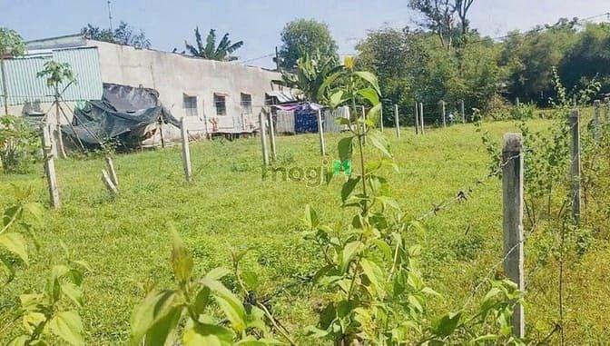 Hình ảnh Bán 415m2 đất xã Phước Hiệp. Giá 2,6 tỷ