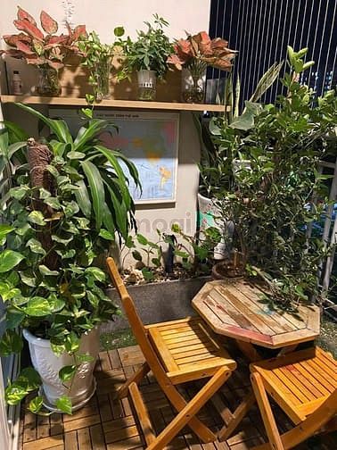 Hình ảnh CHung cư Khang Phú, Hòa Thạnh, Tân Phú: 80m2,2p ngủ, NT, giá 10tr