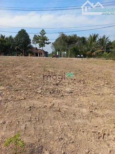 Hình ảnh Cực phẩm đất xã Phước Thạnh, Củ Chi .DT 171m2/700 TRIỆU.Sổ riêng