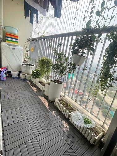 Hình ảnh Chung cư Ruby Garden, Nguyễn Sỹ Sách, P15, TB, 87m2, 2PN, 11tr/tháng.