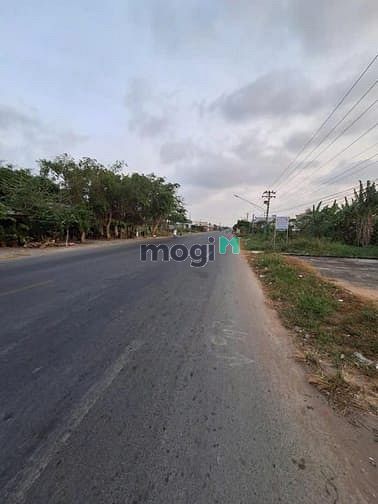 Hình ảnh BÁN ĐẤT MẶT TIỀN QL50, TP GÒ CÔNG – SHR Giá Chỉ 600TR – Sang Tên Ngay