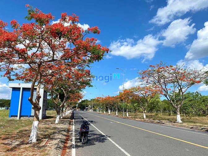 Hình ảnh Nhà kdc Bason Hưng Phúc Đông Tăng Long , quận 9