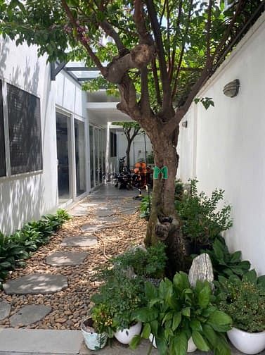 Hình ảnh Bán Biệt Thự ABC số 97 Trần Não, Q2