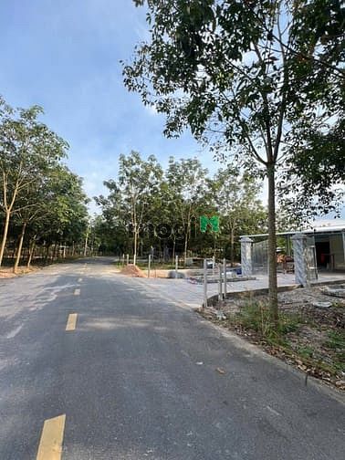 Hình ảnh 295Triệu Không phát thêm chi phí
