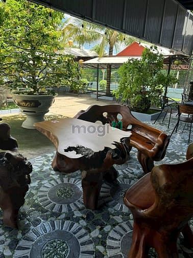 Hình ảnh Bán đất đẹp giá rẻ đường Trần Văn Chẩm Tân thông hội củ chi