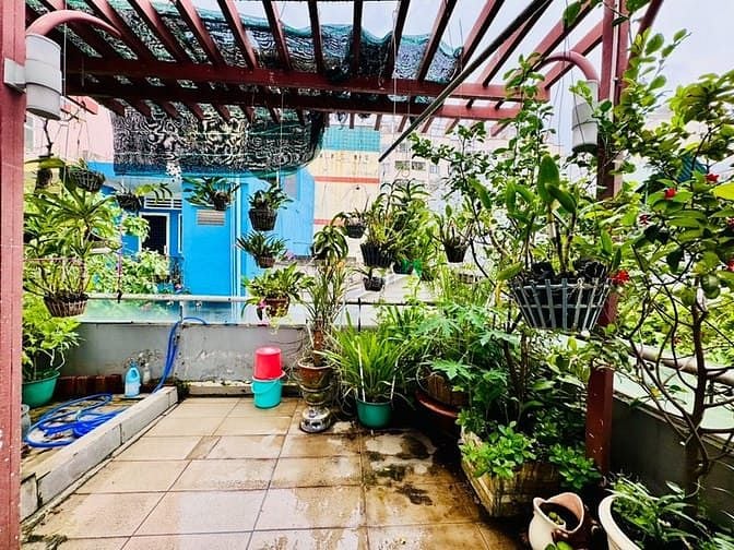 Hình ảnh Biệt thự gara sân vườn, cực hiếm trong phân khúc