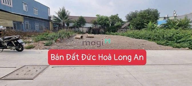 Hình ảnh Bán đất SHR 5x25m xã Hữu Thạnh Đức Hòa – Gần chợ – Thổ cư 100%, giá rẻ
