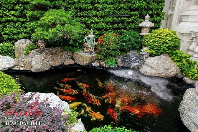 Hình ảnh Bán Dinh Thự Siêu Đẳng Cấp MTĐ Trần Văn Kiểu, P.10, Quận 6 :