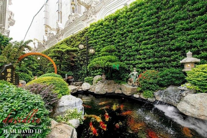 Hình ảnh Bán Dinh Thự Siêu Đẳng Cấp MTĐ Trần Văn Kiểu, P.10, Quận 6 :