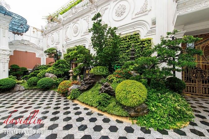 Hình ảnh Bán Dinh Thự Siêu Đẳng Cấp MTĐ Trần Văn Kiểu, P.10, Quận 6 :