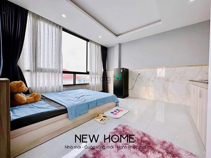 Hình ảnh Studio View Đẹp 30m2 Phù Hợp Cho Freelancer Làm Việc Tại Nhà_Thang Máy