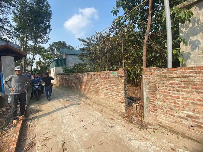 Hình ảnh Chính chủ Cần Bán đất Tích Giang, 100m2 giá 2.6 tỷ , ô tô đỗ