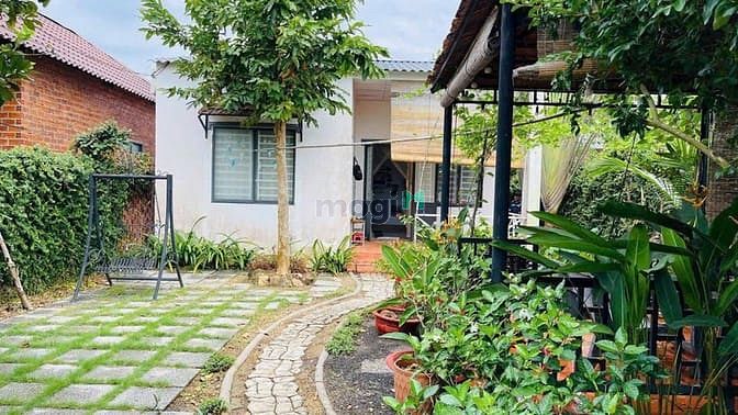 Hình ảnh bán nhà tt Đất Đỏ brvt dt : 298m2