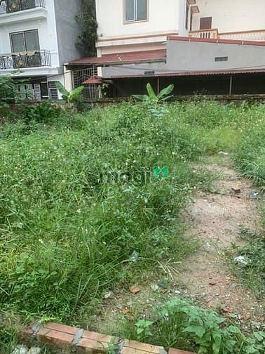 Hình ảnh BÁN đất Thanh Am – Ô tô đỗ cửa – Siêu hiếm – 30m2 chỉ 4,35 tỷ