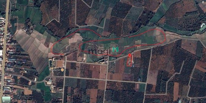 Hình ảnh Bán Đất hẻm Lê Văn Sỹ View ruộng