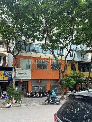Hình ảnh Cho Thuê Nhà 2 Tầng Riêng Biệt – Mặt Tiền Rộng – Vạn Phúc, Ba Đình