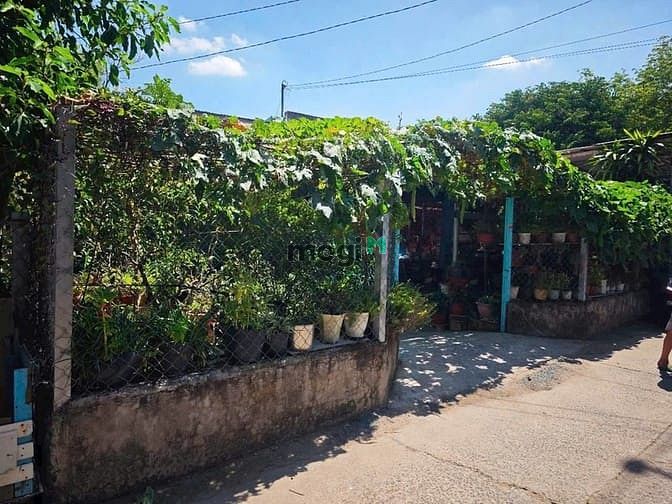 Hình ảnh BÁN GẤP đất thổ Long Tân, Phú Thạnh Nhơn Trạch, vành đai 3,oto,giá RẺ