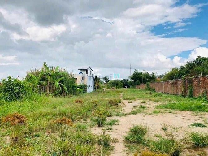 Hình ảnh Bán Đất Mặt Tiền Trương Vĩnh Nguyên – Cái Răng, Cần Thơ | 3.269m²