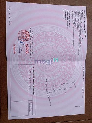 Hình ảnh Đất Mặt Tiền Tăng Bạt Hổ phường Yên Đỗ
