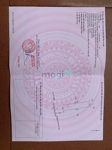 Hình ảnh Đất Mặt Tiền Tăng Bạt Hổ phường Yên Đỗ