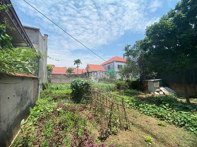 Hình ảnh Bán Đất Đẹp Đức Thượng – 80m² – MT 6.7m – GIÁ 7.45 TỶ