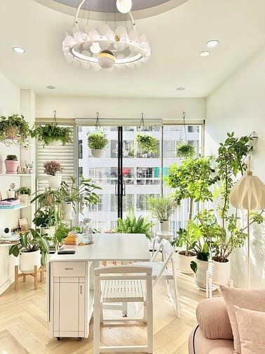 Hình ảnh Siêu Vip - Căn Góc - Full Nội Thất - Khu Nhà Ở Nguyễn Tuân - 80m2