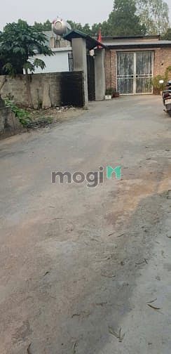 Hình ảnh Bán đất đối diện KCN Tam Dương đang san lấp mặt bằng.