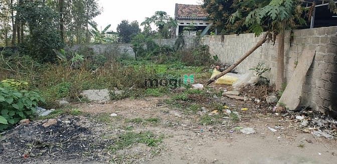 Hình ảnh Bán đất đối diện KCN Tam Dương đang san lấp mặt bằng.