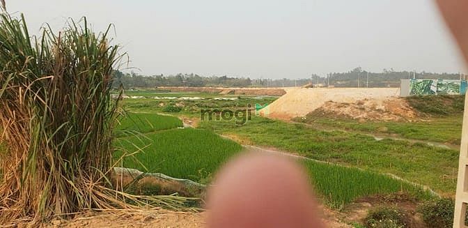 Hình ảnh Bán đất đối diện KCN Tam Dương đang san lấp mặt bằng.