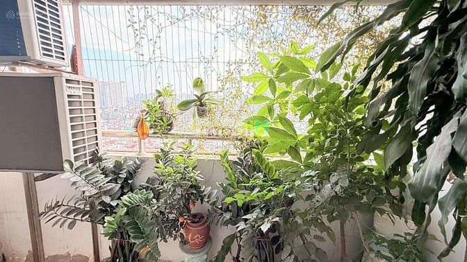 Hình ảnh Bán chung cư căn góc 3 mặt thoáng 163m2, tòa 101 Láng Hạ - Đống Đa