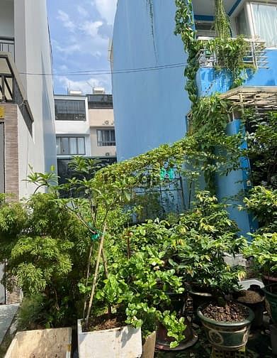 Hình ảnh Bán lô đất Mặt Tiền Đường Số 31D An Phú 16,5 tỷ