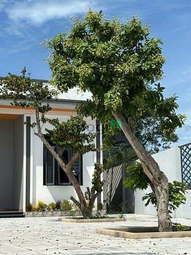 Hình ảnh Nhà Vườn Mới Xây Thoáng Mát Sạch Sẽ, DT 510 m2 Full Thổ Cư, 5.9 Tỷ TL