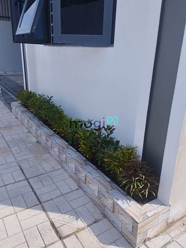 Hình ảnh Nhà Vườn Mới Xây Thoáng Mát Sạch Sẽ, DT 510 m2 Full Thổ Cư, 5.9 Tỷ TL