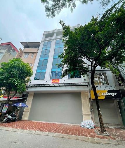 Hình ảnh Cho thuê nhà mặt phố  THÁI THỊNH, ĐỐNG ĐA : 70m2 x 7m mt