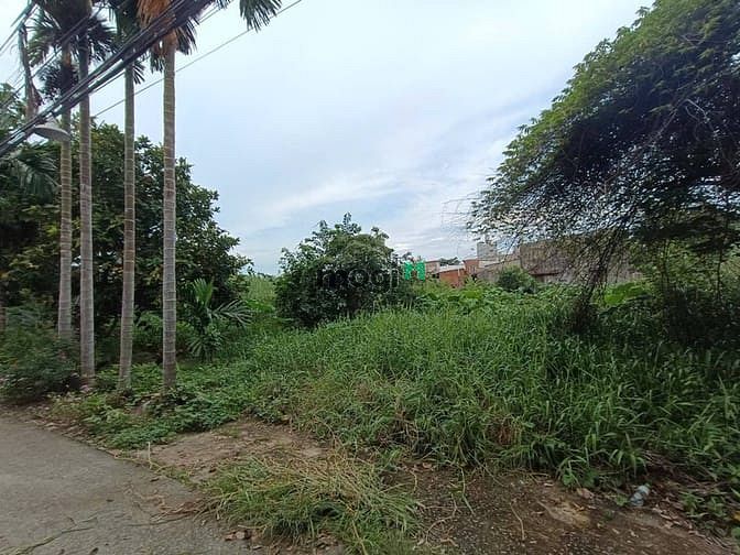Hình ảnh Cần Bán Đất Kha Vạn Cân,Trường Thọ,Thủ Đức, 30x44m,1354m2, 55 tỷ ( TL)