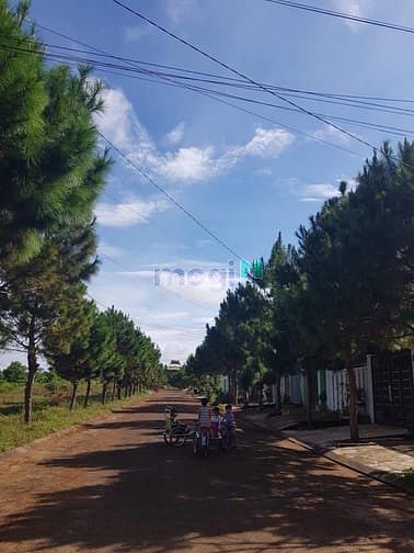 Hình ảnh ĐẤT nền khu dân cư Phú an Phường Diên Hồng