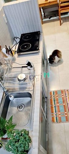 Hình ảnh Cho Nữ thuê phòng tại Trang Chủ MB66.COM / Đăng Ký Tặng 66K chung cư H2 Vĩnh Khánh Q4