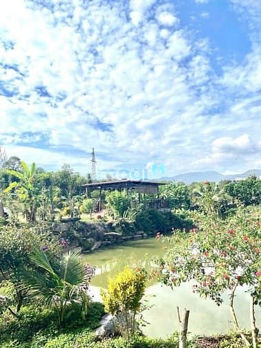 Hình ảnh Xả Lỗ 2 Lô Đất Liền Kề 400m2 Đất Bảo Lộc