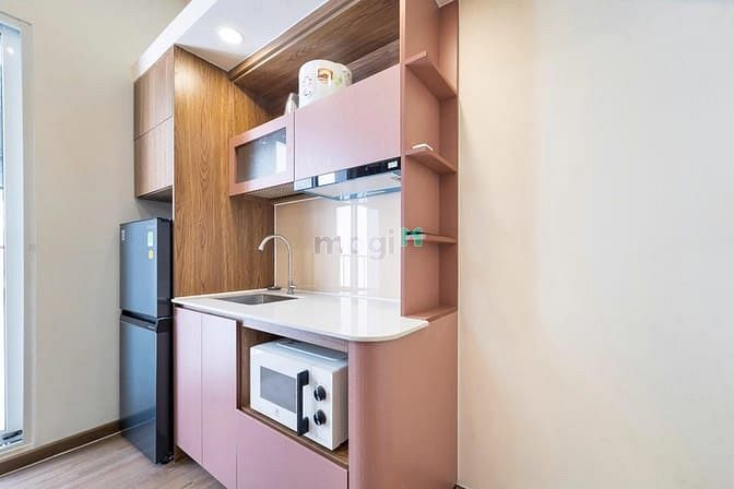Hình ảnh Căn Hộ 1PN Cao Cấp Quận 3_40m2_Bancol_Giặt Riêng_Gần Cv Lê Thị Riêng