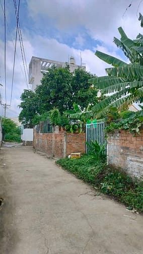Hình ảnh 🔥 Siêu Hot! Bán đất Quận 2 full thổ Giá chỉ 60 tr/m2. Đường ô tô
