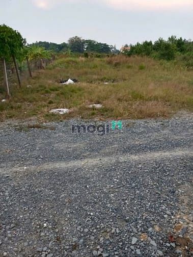 Hình ảnh 500m2 Đất Phường Tân Hạnh Cách Đường phạm Văn Diêu 1xẹt. 1Tỷ9