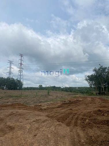 Hình ảnh Cho thuê đất trống CLN tại Xã An Long, Tp. Hồ Chí Minh giá 20tr DT 4,5