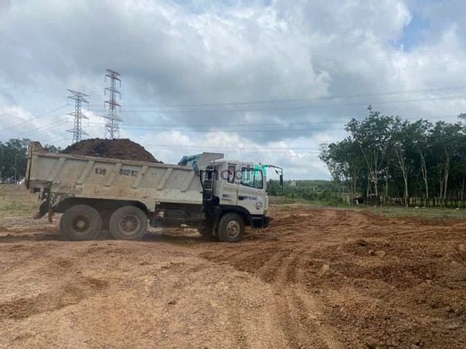 Hình ảnh Cho thuê đất trống CLN tại Xã An Long, Tp. Hồ Chí Minh giá 20tr DT 4,5