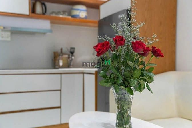 Hình ảnh Cho thuê Trang Chủ MB66.COM / Đăng Ký Tặng 66K 2pn đường Hà Bổng, Sơn Trà giá 9.5tr/ tháng