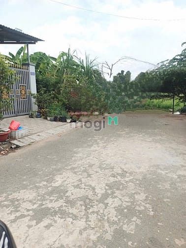 Hình ảnh Đất Tái Định Cư Phường Tân Hạnh DT: 100m, 1Tỷ1