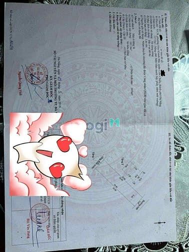 Hình ảnh Bán cặp Đất Kiệt Phan Văn Định ( Lộ Giới 7,5m, kiệt 2 xe tăng né nhau