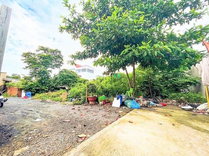 Hình ảnh Đất Thạnh Phú Vĩnh CửuDiện tích : 665m.Gần Chợ Thạnh Phú