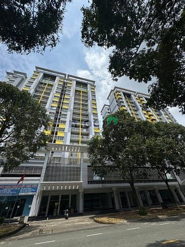 Hình ảnh Cho thuê Trang Chủ MB66.COM / Đăng Ký Tặng 66K TERRA FLORA - full nội thất - vào ở ngay